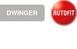Autoreparatur Dwinger: Ihre Autowerkstatt in Kaltenkirchen